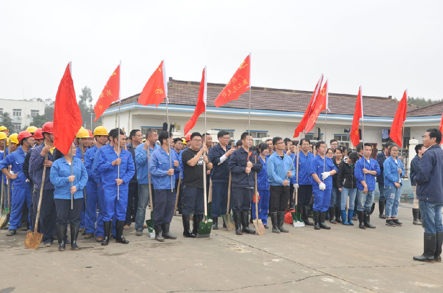 讓森林走進(jìn)銀億，讓銀億擁抱森林